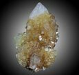 Orange Cactus Quartz Crystals - South Africa #33920-1
